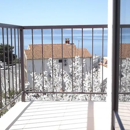 Διαμέρισμα Roscic *