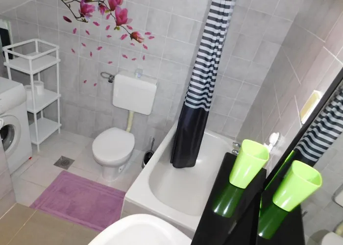 Roscic 아파트 포드고라