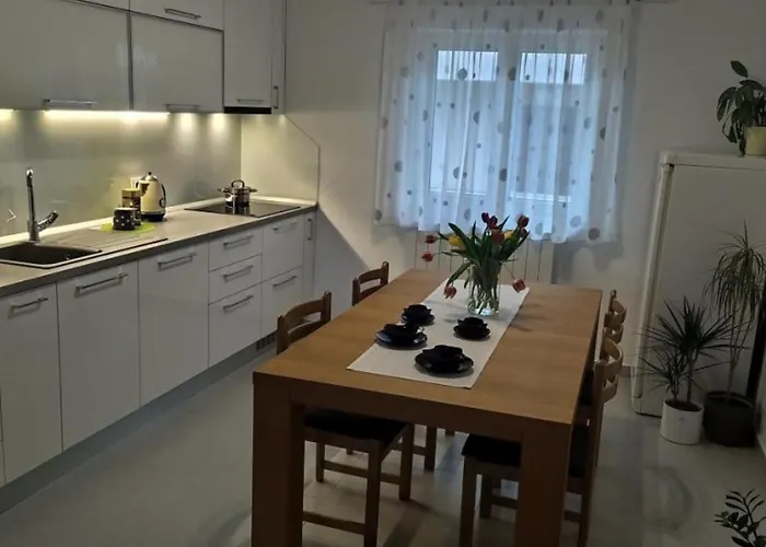 Roscic * 포드고라